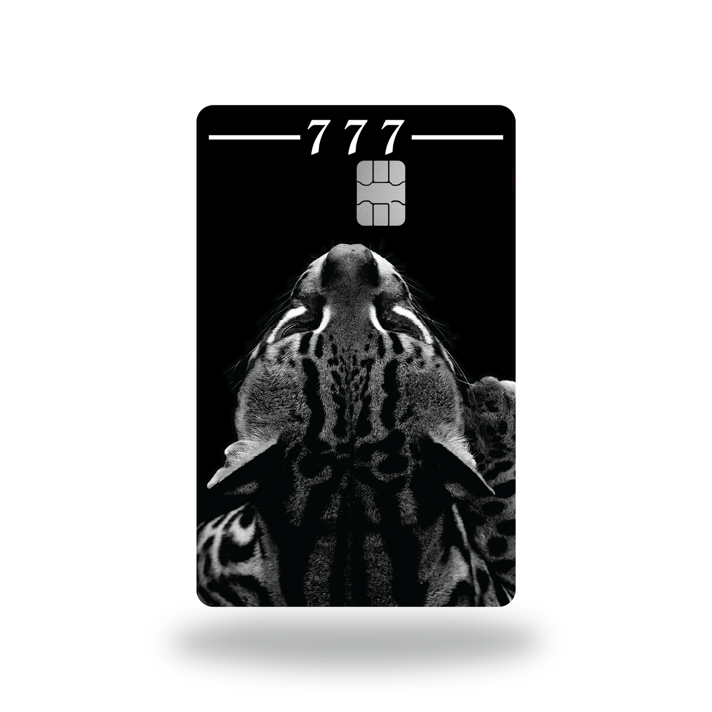 Metal Card Seventh Sense